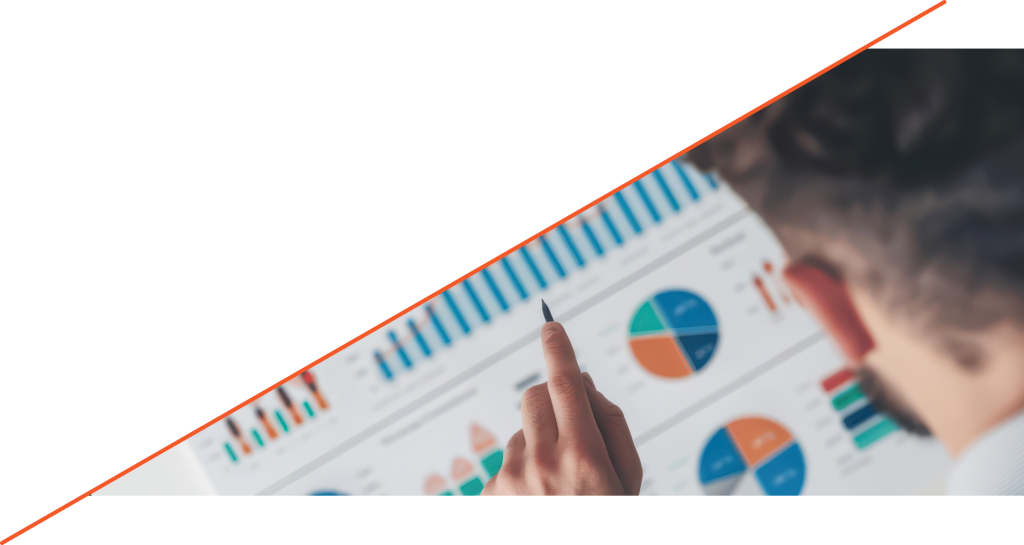 Bureau Data Health Check page Bureau Data Health Check