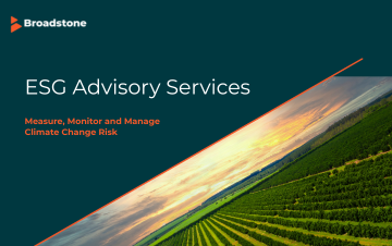 ESG Advisory Services
