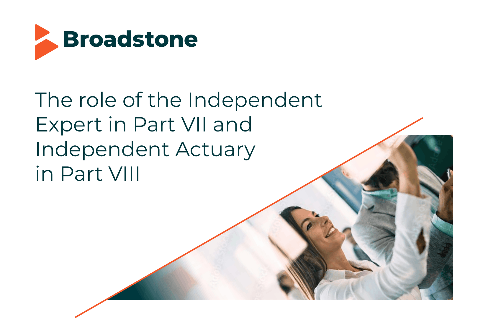 The role of the independent expert The role of the independent expert