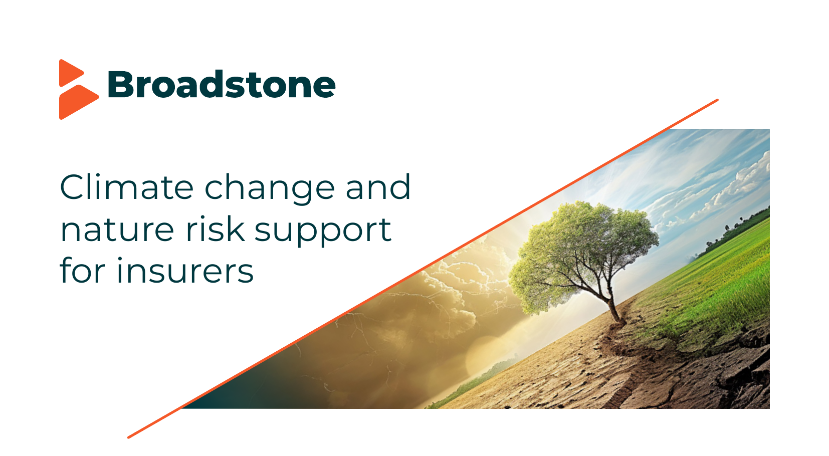 climate-change-and-nature-risk-support-for-insurers climate-change-and-nature-risk-support-for-insurers